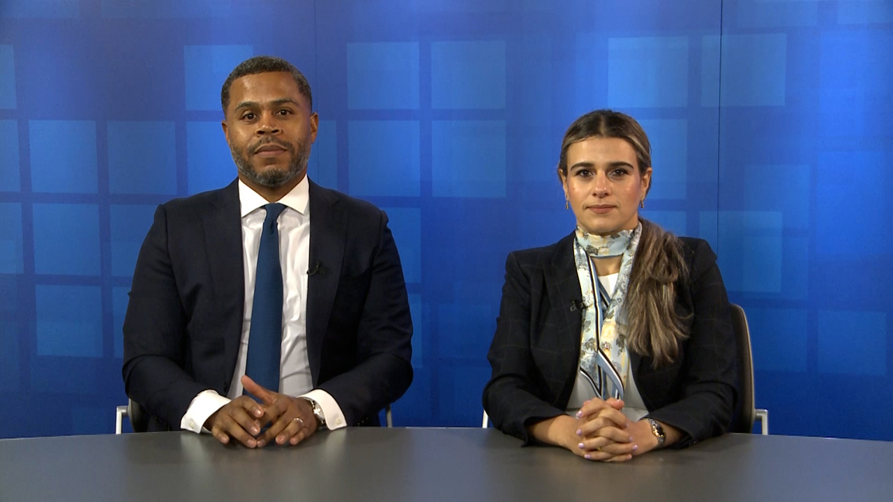 Immigration Guidance for Everyday Criminal and Family Law Practice